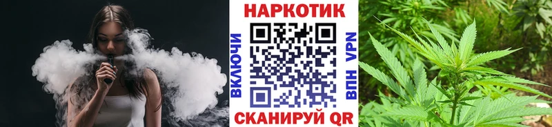 Где купить Олонец Канабис  Кокаин  Гашиш  Меф мяу мяу 