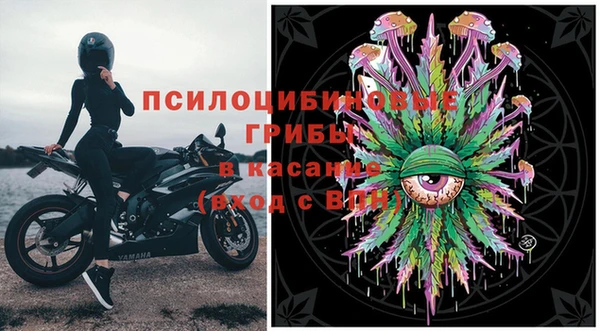 a pvp Вязьма