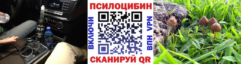 даркнет наркотические препараты  как найти закладки  omg ONION  Олонец  Псилоцибиновые грибы GOLDEN TEACHER 